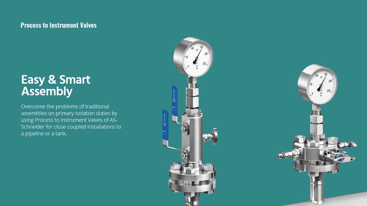 Feature overview of the Monoflanges (Process to Instrument Valves)